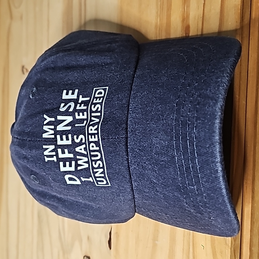 Fun HAT " IN MY DEFENSE I WAS LEFT UNSUPERVISED"
